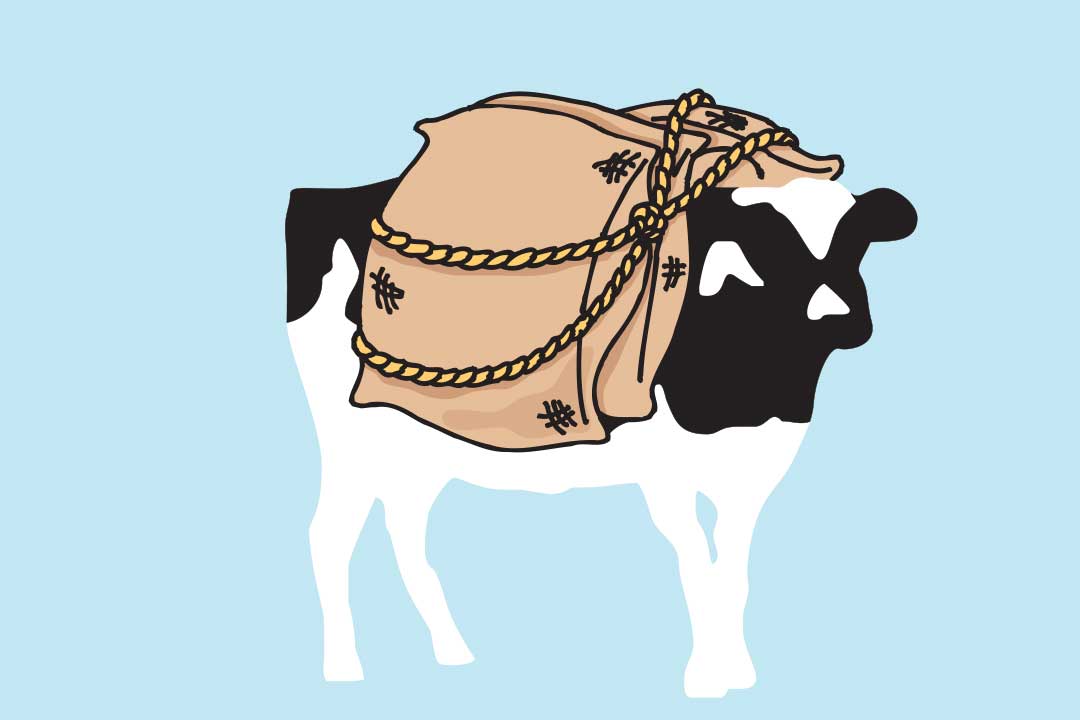 Woodie med sække på ryggen