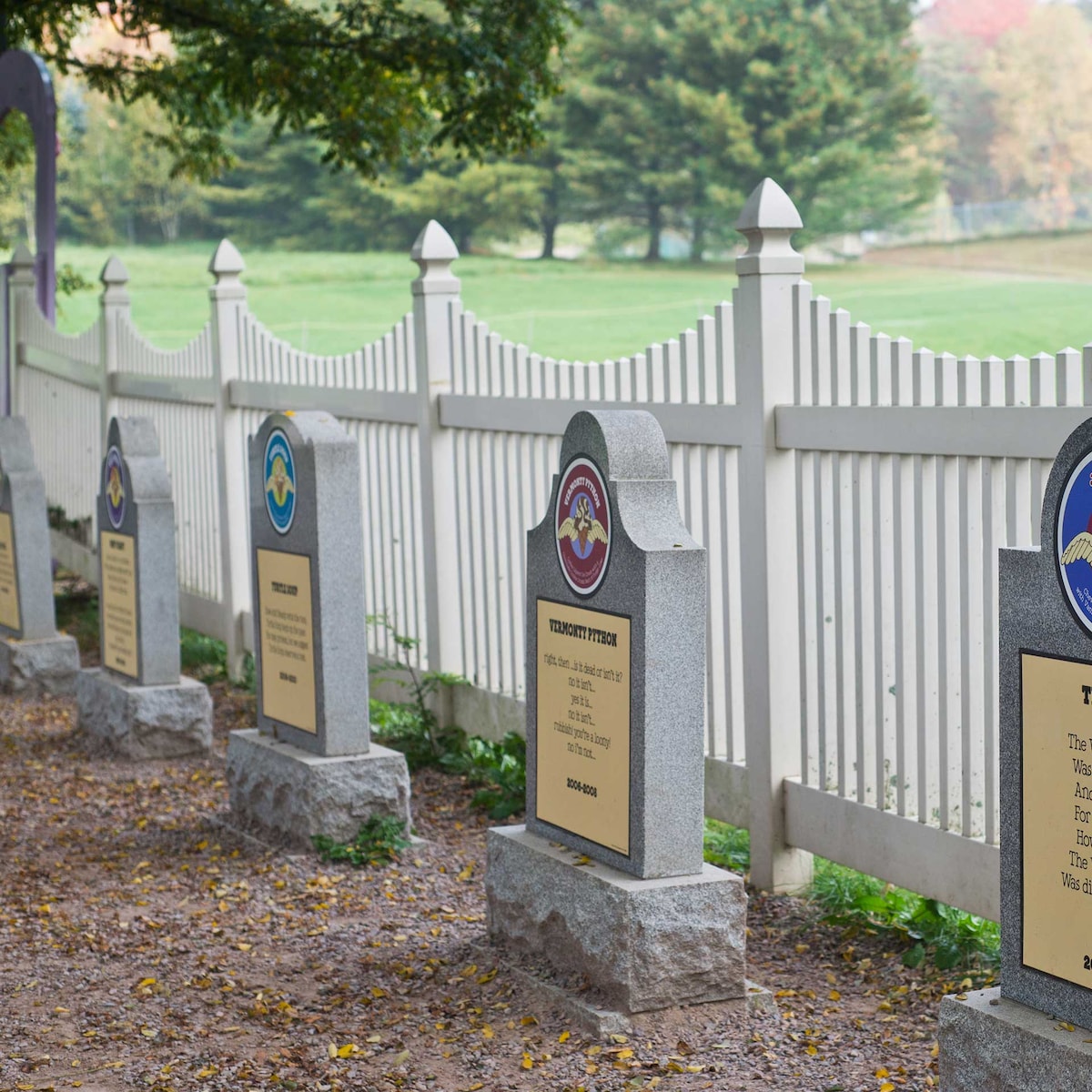 The Flavour Graveyard: Honouring our Dearly De-Pinted (Retired) Flavours